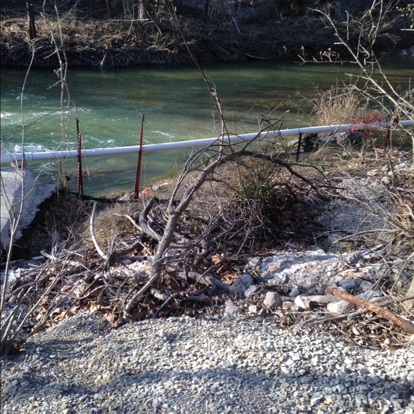 Meet your Posher, Kathy - Picture 1 of 1